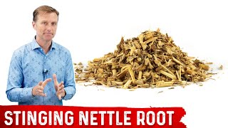 5 Benefits of Stinging Nettle Root [upl. by Nahallac]