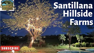 Santillana Hillside Farms  Day amp Night  A Quick Look  Camp amp Swim  DJI [upl. by Madox]