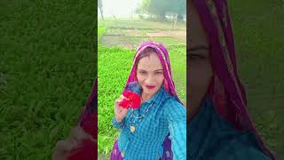 new Meena wati song video Meena ladies short video  Meena ladies reel  Meena song short video [upl. by Sirk539]