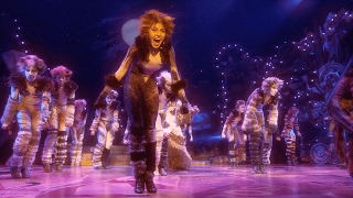 Broadway Montage  Cats the Musical [upl. by Ellehcir]