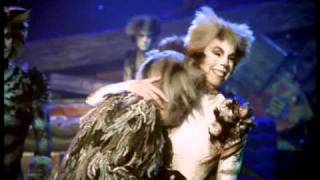 Cats the Musical  the film [upl. by Jansson]