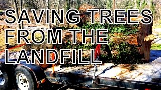 SAVING TREES FROM THE LANDFILL [upl. by Nara]