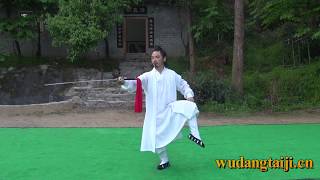 Wudang Tai Chi Sword by Master Chen Shiyu [upl. by Atteyram]