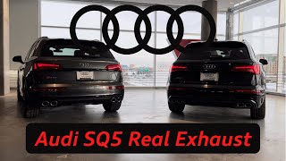 Audi SQ5 Exhaust Tips  Audi SQ5 Real Exhaust Tips [upl. by Idelia867]