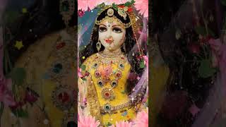 shringar basanti hai  radhe Krishna [upl. by Magnien63]