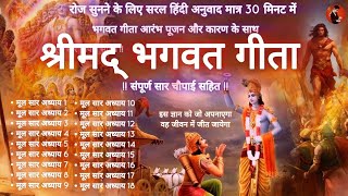 श्रीमद् भगवत गीता  सम्पूर्ण सार  Bhagwat Geeta  All Chapters Brief Meaning bhagwatgeeta [upl. by Oakley]