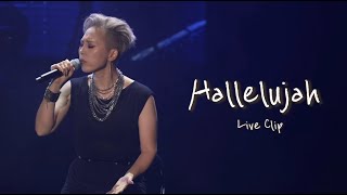 Seomoon Tak quotHallelujahquot Live Clip Concert Live Performance [upl. by Coughlin]