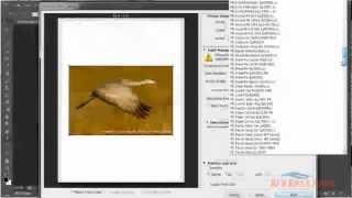 Use Profiles in Photoshop CS6 Canon Windows [upl. by Polivy418]