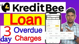 The Dark Side of Kreditbee Late Charges [upl. by Kellyann]