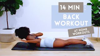 14 MINUTE BACK WORKOUT FOR STRONGER BACK  BETTER POSTURE  NO EQUIPMENT  BEGINNER  INTERMEDIATE [upl. by Ahkeber165]