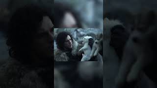 Direwolves Explained in 1 Minute gameofthrones houseofthedragon got hotd stark targaryen [upl. by Albert]