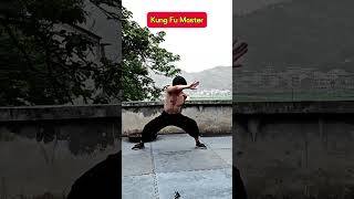 The daily training of a kung fu master kungfu [upl. by Weingarten]