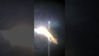 night spearfishing sablayan samaral [upl. by Leong]