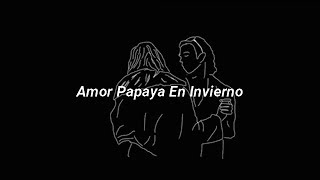 amor papaya en invierno carlos sadness  letra [upl. by Nanam]