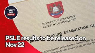 PSLE results to be released on Nov 22 [upl. by Alekat921]