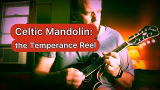 Celtic Mandolin the Temperance Reel with Backing Track [upl. by Esmerolda117]