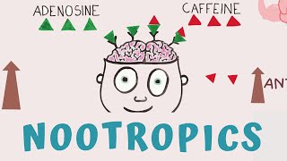 HOW TO BOOST BRAIN POWER  NOOTROPICS SUPPLEMENTS [upl. by Milah]