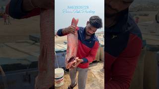 రెడ్ స్నేపర్ 5kg కర్నూలు డెలివరీtrendingreelsviralreelsseafishseafoodytstudioramufishpacking [upl. by Cannice]