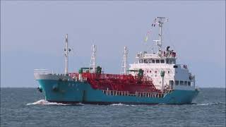 SENRYU MARU 扇龍丸 入港 液化アンモニアタンカーLiquefied Ammonia Gas Tanker [upl. by Dickey]