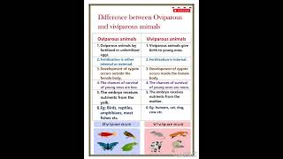 Difference between oviparous and viviparous animals [upl. by Friede]