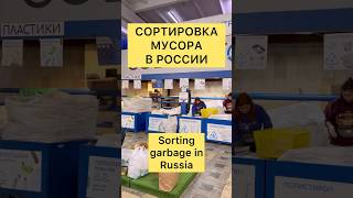 Сортировка мусора в России  Переработка мусора  Собиратор  Sorting garbage in Russia russia [upl. by Ainniz241]