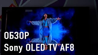 Обзор OLED телевизора Sony 55 KD55AF8BR2 [upl. by Bela]