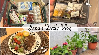 Wagyu steak dinner buy snacks at MUJI gardening  housewife daily in japan [upl. by Annoyek]