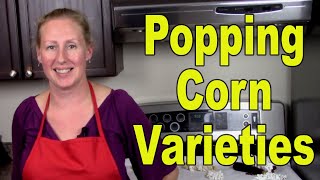 Popping Corn Varieties [upl. by Sunshine]