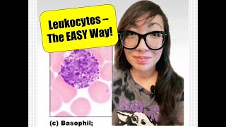 Leukocytes  The EASY Way [upl. by Iliam]