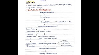 Shock pathophysiology types management [upl. by Bertina660]