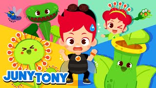 Why Do They Eat Bugs  More Bug Songs  Insect Songs for Kids  Animal Song  JunyTony [upl. by Ban]