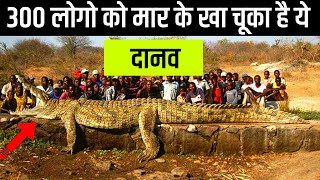 10 Largest Crocodile In the world  Hindi [upl. by Darci350]