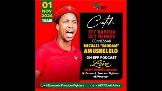 EFF Podcast Episode 52 Namibia November 2024 General Elections [upl. by Fulvi991]