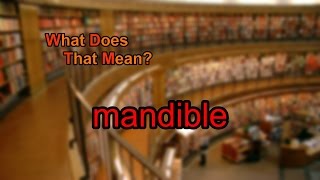 What does mandible mean [upl. by Nels]