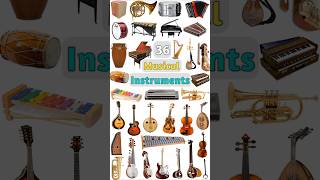 Musical Instruments Name  Part 01 musicalinstrument musicalinstruments musicinstruments music [upl. by Ardnoel]