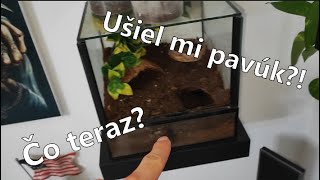 Ušiel mi pavúk [upl. by Ranchod]