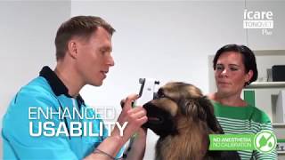 iCare TONOVET Plus tonometer  New level of veterinary IOP measuring [upl. by Orecul]