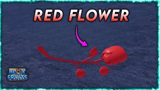 How To Get Red Flower in Blox Fruits EASY Guide  LegendPlayz [upl. by Mello]