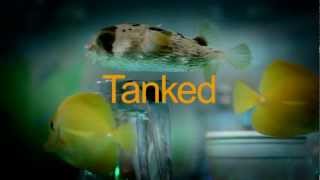 TANKED New Episodes Friday at 9PM EP [upl. by Janos]