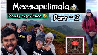 Trip to Meesapulimala  Second highest peak in south India Budget Kerala Vlog Part  2  Munnar [upl. by Isidro]