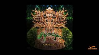 Shpongle  A Series Of Heads Vinyl LP Bonus Track Codex VI [upl. by Herc30]