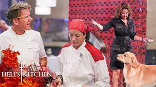 Chefs Make A Complete DOGS DINNER Of Service  Hells Kitchen [upl. by Alathia]