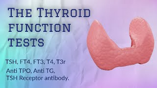 Thyroid function test  TSH  T4  T3  FT4 FT3 thyroid thyroidhormone [upl. by Suneya]