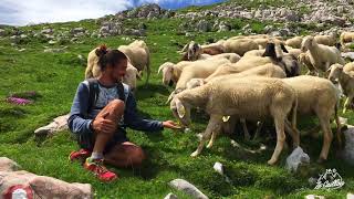 Mont KRN une des plus belles randonnées de Slovénie  ZE CAILLOU [upl. by Alvera]