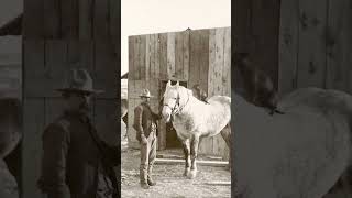 🔴▶New video about the Old West Come check it out and embark on an epic journey [upl. by Elamrej361]