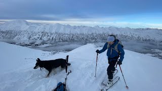 Alaska Backcountry Skiing 13 YO skier Couple of days [upl. by Melville676]