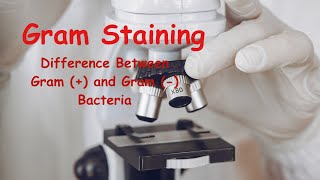 Gram StainingGram Positive and Gram Negative BacteriaBScNEETCUETLife Science Classes [upl. by Nileve]