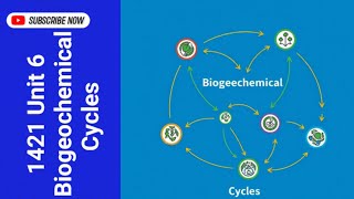 1421 Unit6 Biogeochemical Cycles Nitrogen Cycle Carbon Phosphorus Sulfur Cycle [upl. by Adnilav]