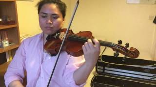 Pachelbel Canon In D  Adult Violin Beginner 1 Year  7 Months [upl. by Eerehs]