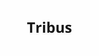 How to pronounce Tribus [upl. by Anitel]